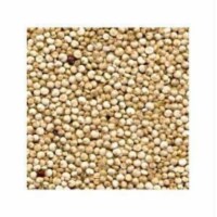 Bulk Grains Organic Quinoa White - Single Bulk Item - 25LB
