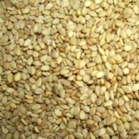 Bulk Seeds 100% Organic Sunflower Seeds Pasteurized & Shelled - Single Bulk Item - 25LB