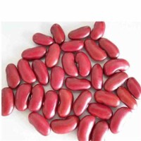 Bulk Peas and Beans Kidney Dark Red - Single Bulk Item - 25LB