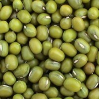 Bulk Peas and Beans Organic Mung Beans - Single Bulk Item - 25LB