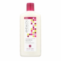 Andalou Naturals Color Care Shampoo -1000 Roses Complex - 11.5 fl oz