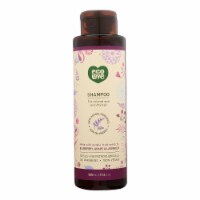 Ecolove Shampoo - Purple Fruit Shampoo For Colored and Very Dry Hair