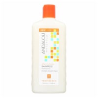 Andalou Naturals Moisture Rich Shampoo Argan and Sweet Orange - 11.5 fl oz