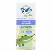 Toothpaste - Toddler Training - Natural - Fluoride Free - Mild Fruit - 1.75 oz - Case of 6