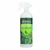 Biokleen - Stn+odr Rmvr B/o Foaming - Case of 6-32 oz.