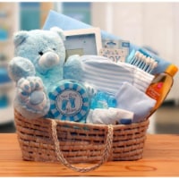 Our Precious Baby Carrier - Blue - baby bath set - baby boy gift basket new baby gift basket