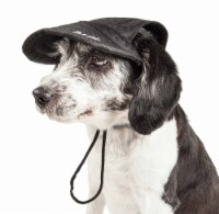 Cap-Tivating' Uv Protectant Adjustable Fashion Dog Hat Cap (Black - Medium)