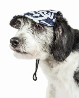 'Bone Cappa' Graffiti Sculptured Uv Protectant Adjustable Fashion Dog Hat Cap (medium)