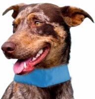 Summer-Cooling' Insert Able And Adjustable Cooling Ice Pack Dog Neck Wrap