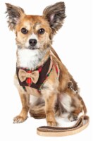 Luxe 'Dapperbone' 2-In-1 Mesh Reversed Adjustable Dog Harness-Leash W/ Fashion Bowtie (Small)