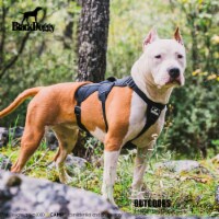 Dog Harness, Hiking and Trail Running, Service and Working, Everyday Wear-black XH