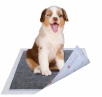 Charcoal Odor Eliminating Anti-Skid and Anti-Bacterial Diabetic Premium Dog Training Pads