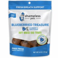 Natural, Grain-Free Dog Biscuits | Made w/Upcycled Ingredients in USA | Blueberried Treasure