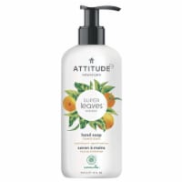 Attitude - Hand Soap Orange Leaves - 1 Each-16 OZ