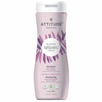 Attitude - Shampoo Moisture Rich - 1 Each 1-16 OZ
