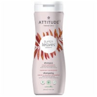 Attitude - Shampoo Color Protection - 1 Each 1-16 OZ