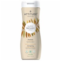 Attitude - Shampoo Volume & Shine - 1 Each 1-16 FZ