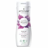 Attitude - Body Wash Soothing - 1 Each 1-16 OZ