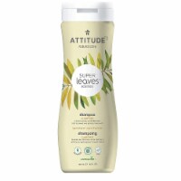 Attitude - Shampo Spr Lv Clarifying - 1 Each-16 OZ