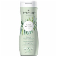 Attitude - Shampoo Nourish Strength - 1 Each 1-16 OZ