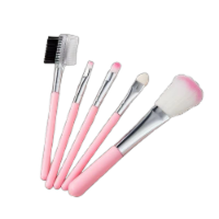 Portable Small 5 Piece Makeup Brush Set Blush & Eye Shadow Brushes Set of Beauty Tools (Pink)