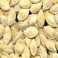Bulk Seeds Organic Pumpkin Seeds - Single Bulk Item - 27LB