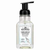 J.r. Watkins - Hnd Soap Foam Ocn Breeze - Case of 3-9 FZ