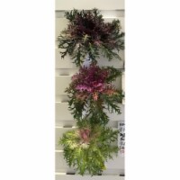 Melrose International 70448 11 in. Thistle Plant Polyester & Plastic, Green Purple - Set of 1