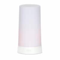 LED Flickering Light w/6 Hr Timer (Set of 2) 5 H Plastic (USB charger not included)