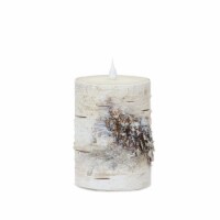 LED Birch Candle 3.5 D x 5 H (Set of 2) with Remote