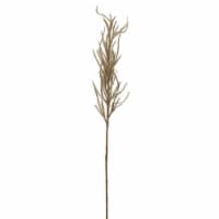 Flocked Pampas Spray (Set of 24) 31 H Plastic