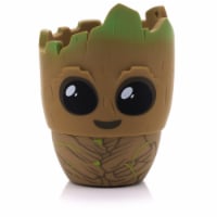 Bitty Boomers Bittygroot Bluetooth Speaker Perspective: Main