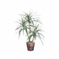 4 ft. Marginata Extra Full