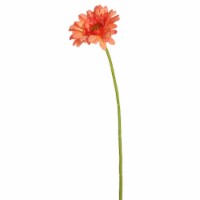 21 in. Gerbera Daisy Coral - Pack of 6
