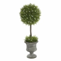21 in. Oregan Juniper Topiary in Container