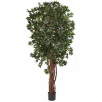 7.5 ft. Lychee Silk Tree