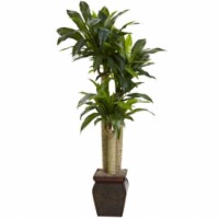 4.5 ft. Cornstalk Draceana With Vase - Real Touch