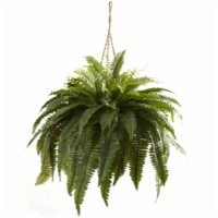 Double Giant Boston Fern Hanging Basket