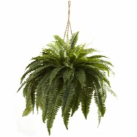 Double Giant Boston Fern Hanging Basket