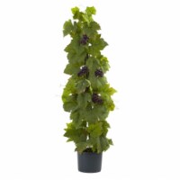40 ft. Grape Leaf Deluxe Climbing Plant