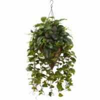 Vining Mixed Greens With Cone Hanging Basket