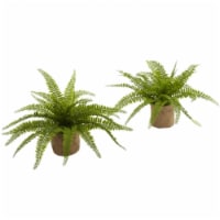 Boston Fern With Burlap Planter - Set of 2