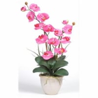 Double Stem Phalaenopsis Silk Orchid Arrangement