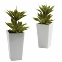 Double Mini Agave with Planter - Set of 2