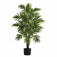 3&rsquo; Areca Palm Tree