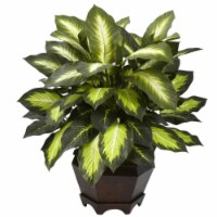 Triple Golden Dieffenbachia with Wood Vase