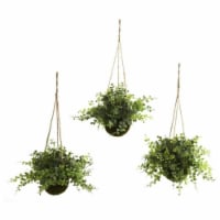 Eucalyptus, Maiden Hair & Berry Han- ng Basket - Set of 3
