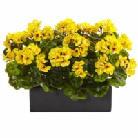 Geranium in Rectangular Planter UV Resistant, Yellow