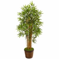 4.5 ft. Bamboo Tree in Coiled Rope Planter