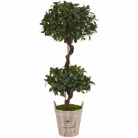 4.5 ft. Sweet Bay Double Topiary Tree in Farmhouse Planter